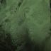 Tecido Atoalhado Damask Jacquard, Cor Verde Oliva Escuro Perolizado  2,8M Largura 