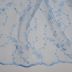 Tecido Renda Tule Bordado Raminhos Com Mini Floral Cor Azul Bebe Pantone: 14-4311 TCX Corydalis Blue